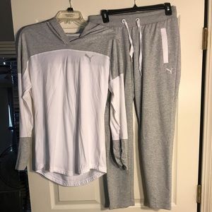 Puma